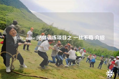 玉树拓展训练项目之 一丝不苟 介绍