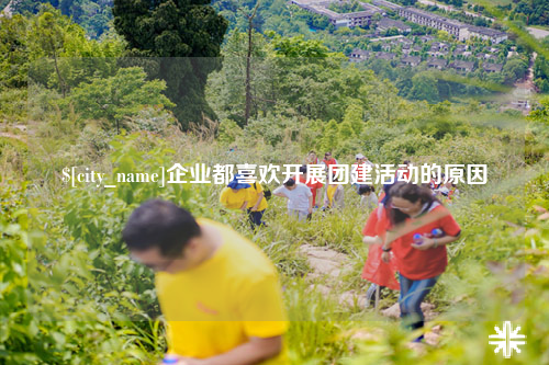 玉树企业都喜欢开展团建活动的原因
